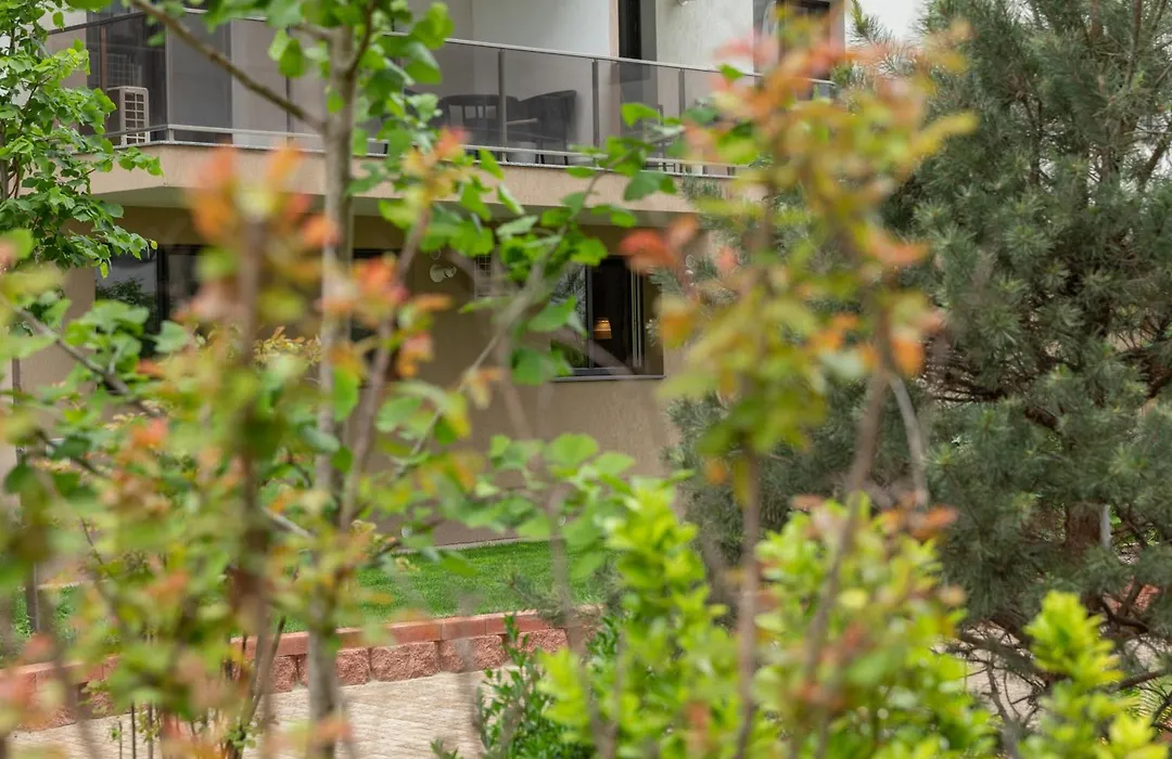 Hils Pallady 14-1